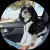 gracegordon628